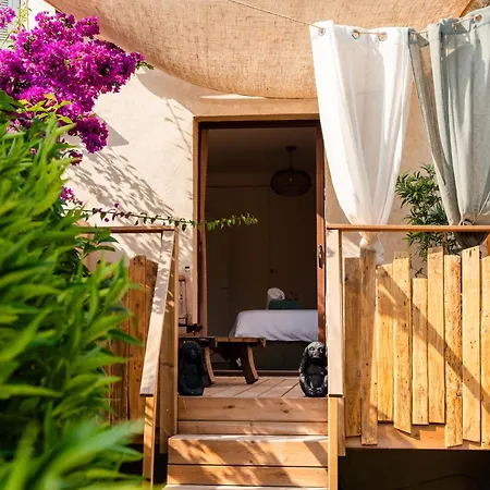 Maison Jardin Tropicale Piscine - Quatre Murs Et Un Toit Holiday home *