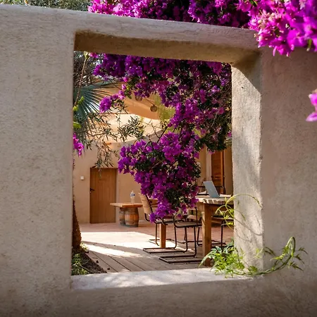 Holiday home Maison Jardin Tropicale Piscine - Quatre Murs Et Un Toit Hyeres