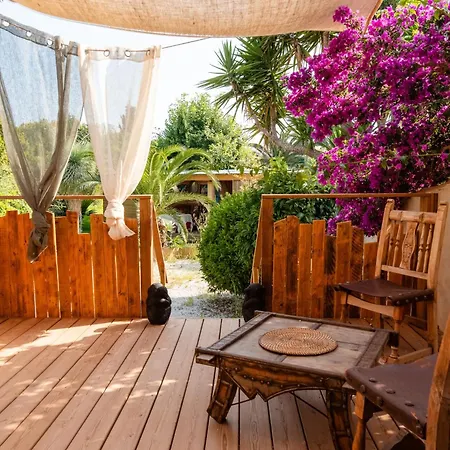 Maison Jardin Tropicale Piscine - Quatre Murs Et Un Toit